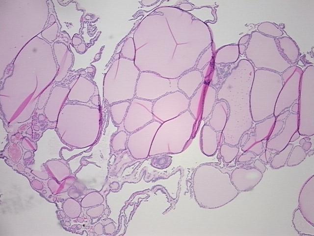 4x Image