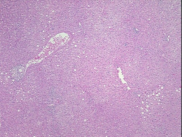 4x Image