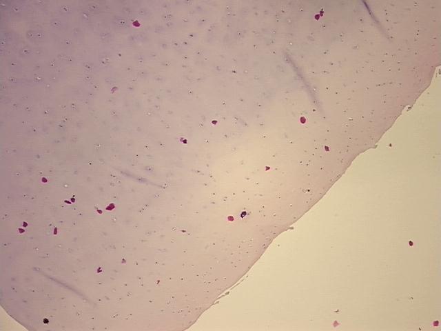4x Image