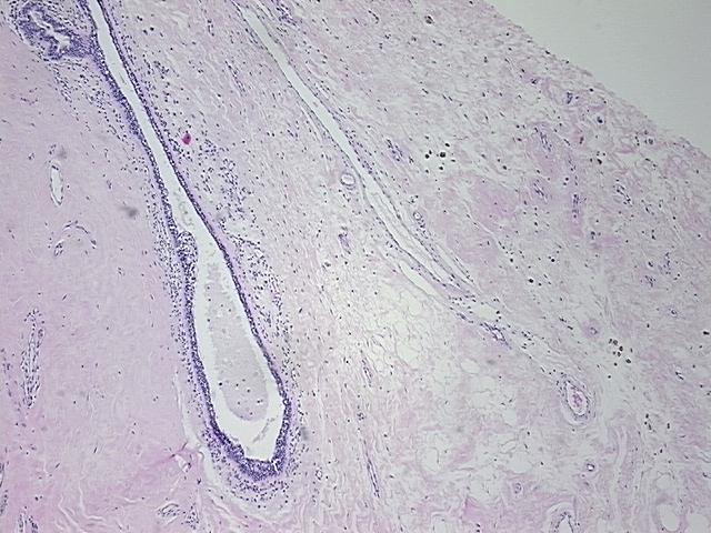 4x Image