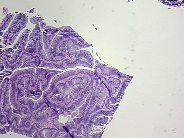 4x Image