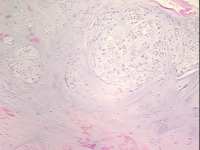 4x Image
