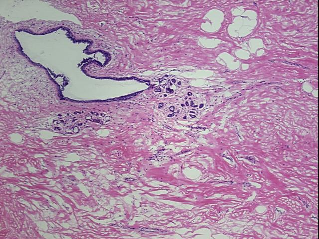 4x Image