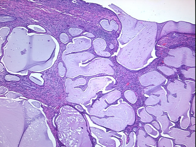 4x Image