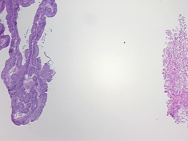 4x Image