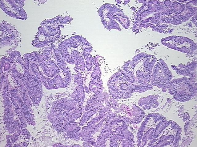 4x Image