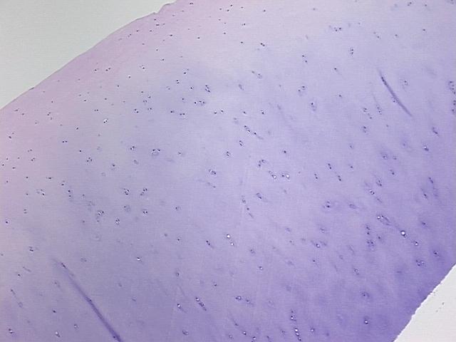 4x Image