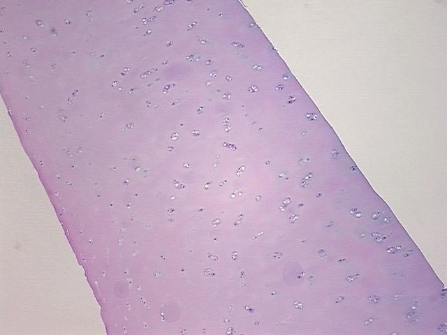 4x Image