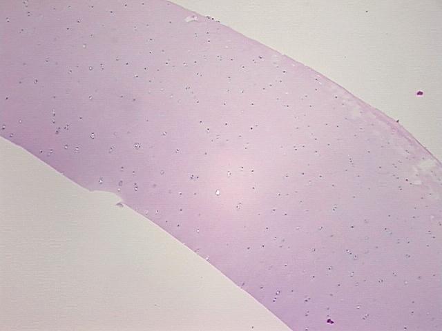 4x Image
