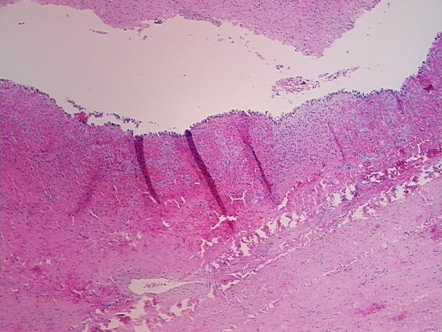 4x Image