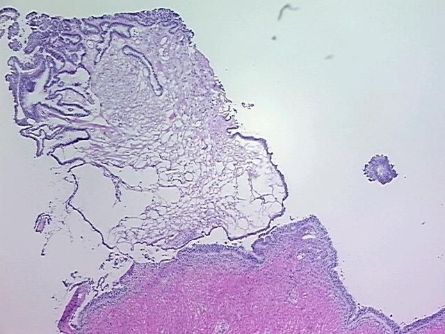 4x Image