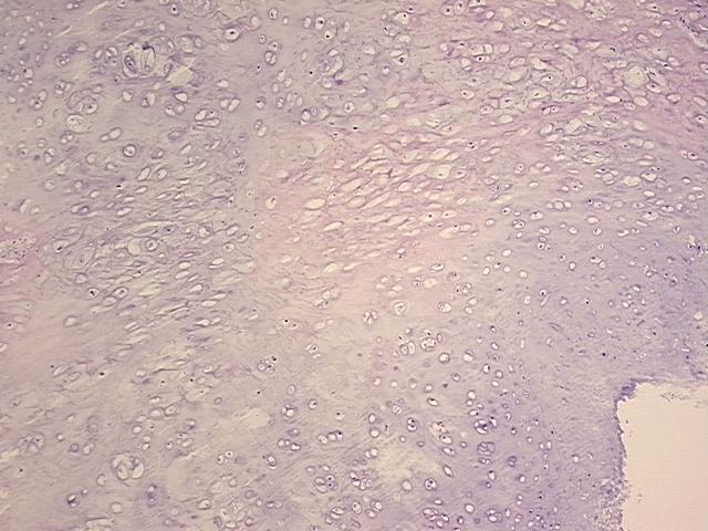 4x Image