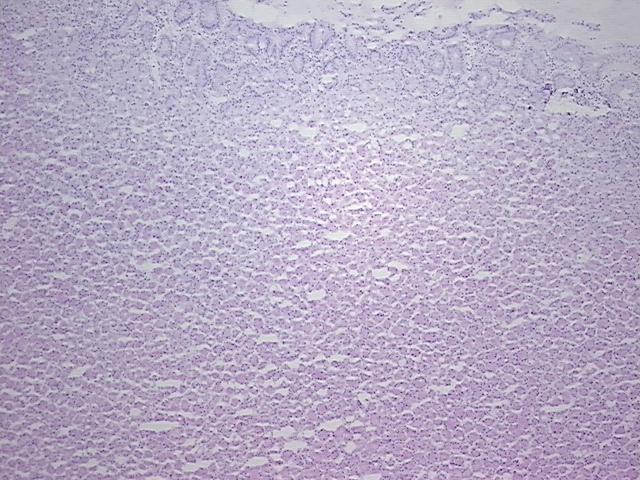 4x Image