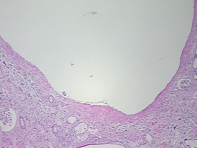 4x Image