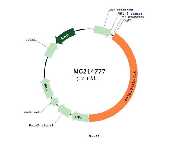 Circular map for MG214777