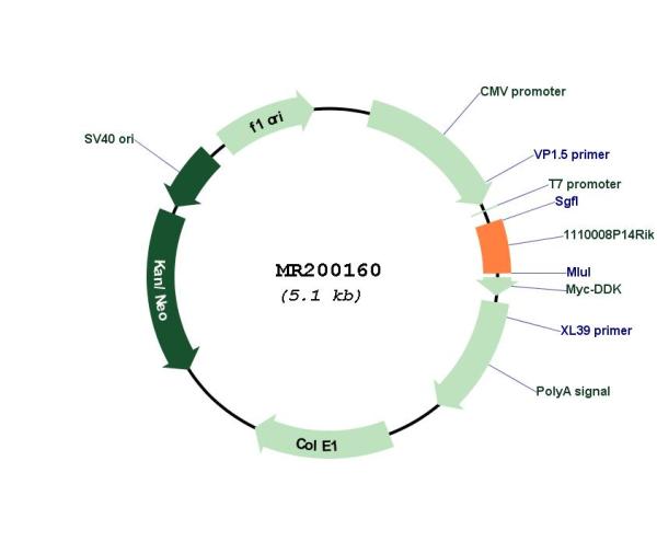 Circular map for MR200160