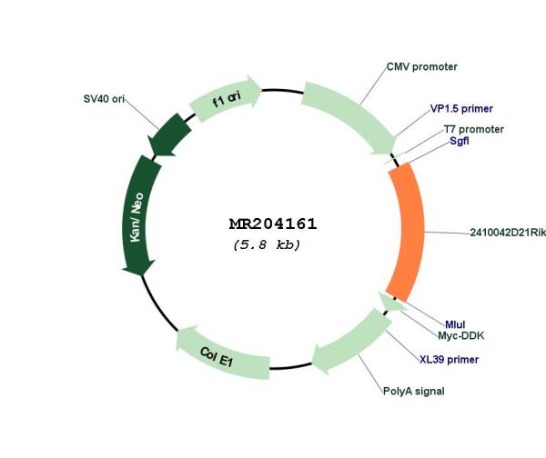 Circular map for MR204161