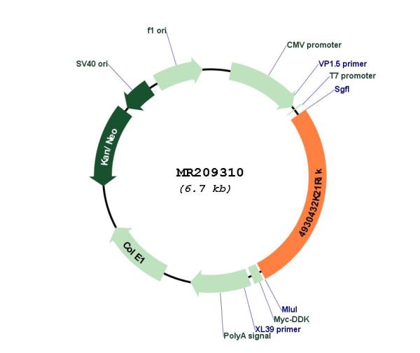 Circular map for MR209310