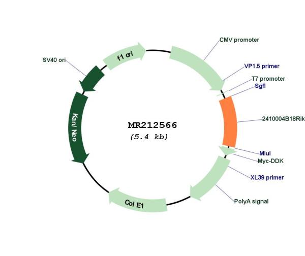 Circular map for MR212566