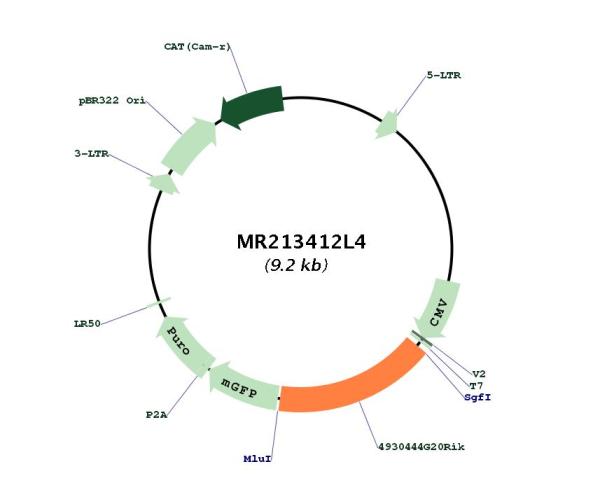 Circular map for MR213412L4