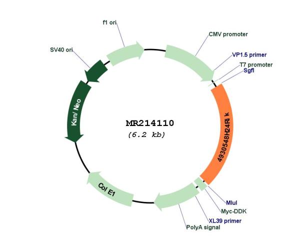Circular map for MR214110