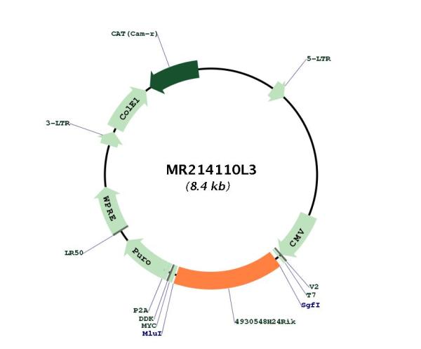 Circular map for MR214110L3