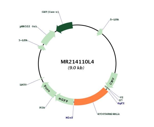 Circular map for MR214110L4