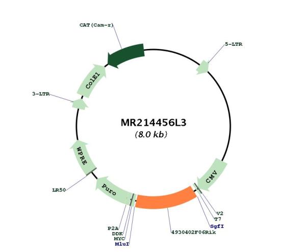 Circular map for MR214456L3