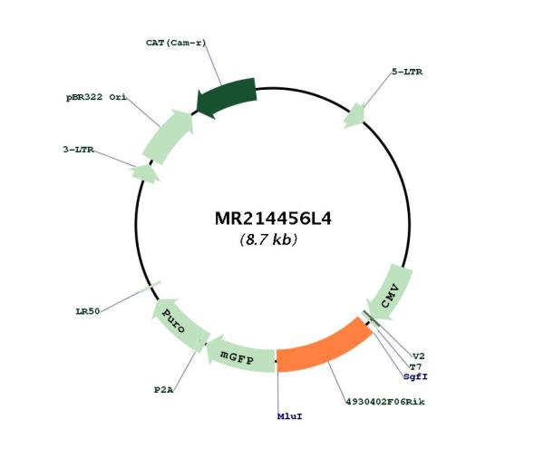 Circular map for MR214456L4