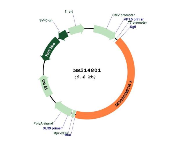 Circular map for MR214801