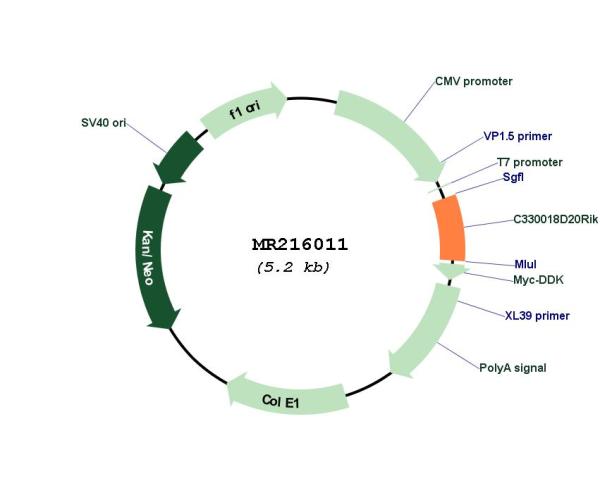 Circular map for MR216011