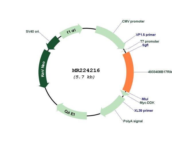 Circular map for MR224216