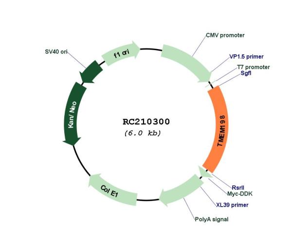 Circular map for RC210300