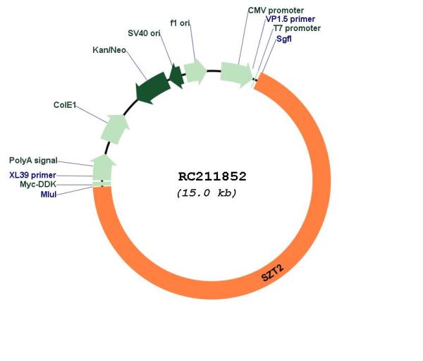 Circular map for RC211852
