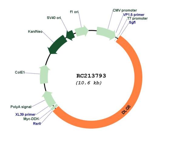 Circular map for RC213793
