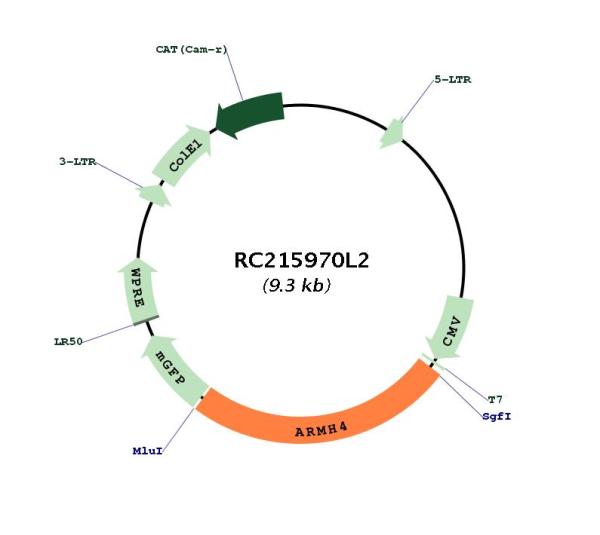 Circular map for RC215970L2