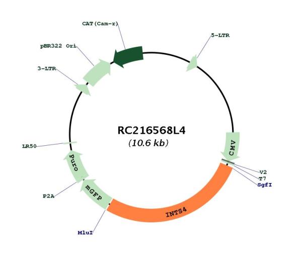 Circular map for RC216568L4