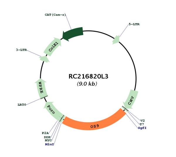 Circular map for RC216820L3