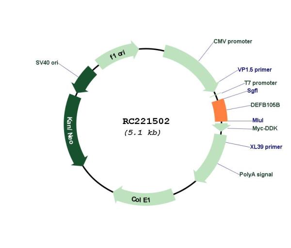 Circular map for RC221502