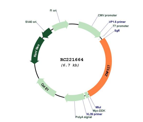 Circular map for RC221664