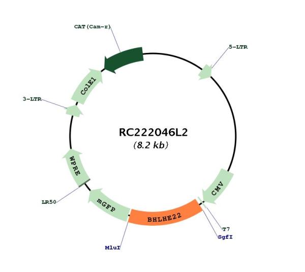 Circular map for RC222046L2