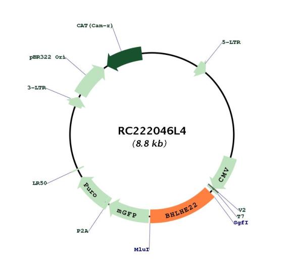Circular map for RC222046L4