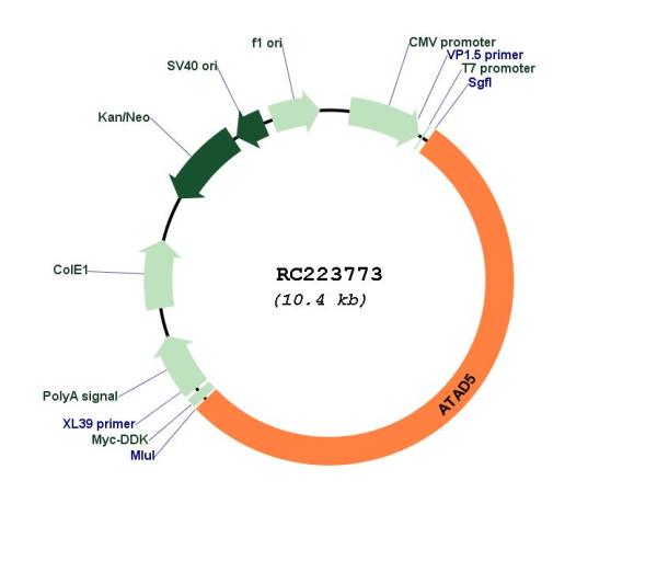 Circular map for RC223773
