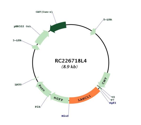 Circular map for RC226718L4