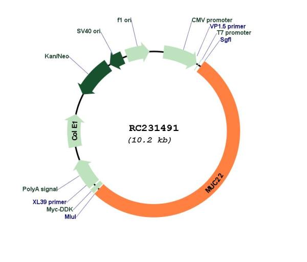 Circular map for RC231491