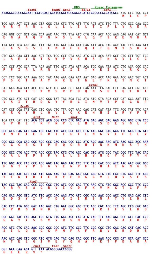 CD200R (CD200R1) (NM_138939) Human Tagged ORF Clone | OriGene ...