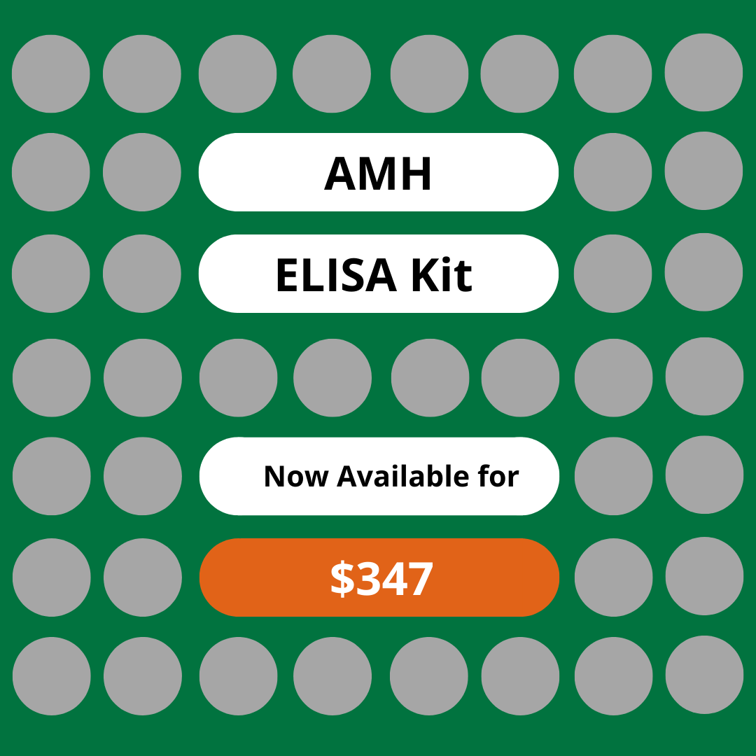 AMH ELISA Kit