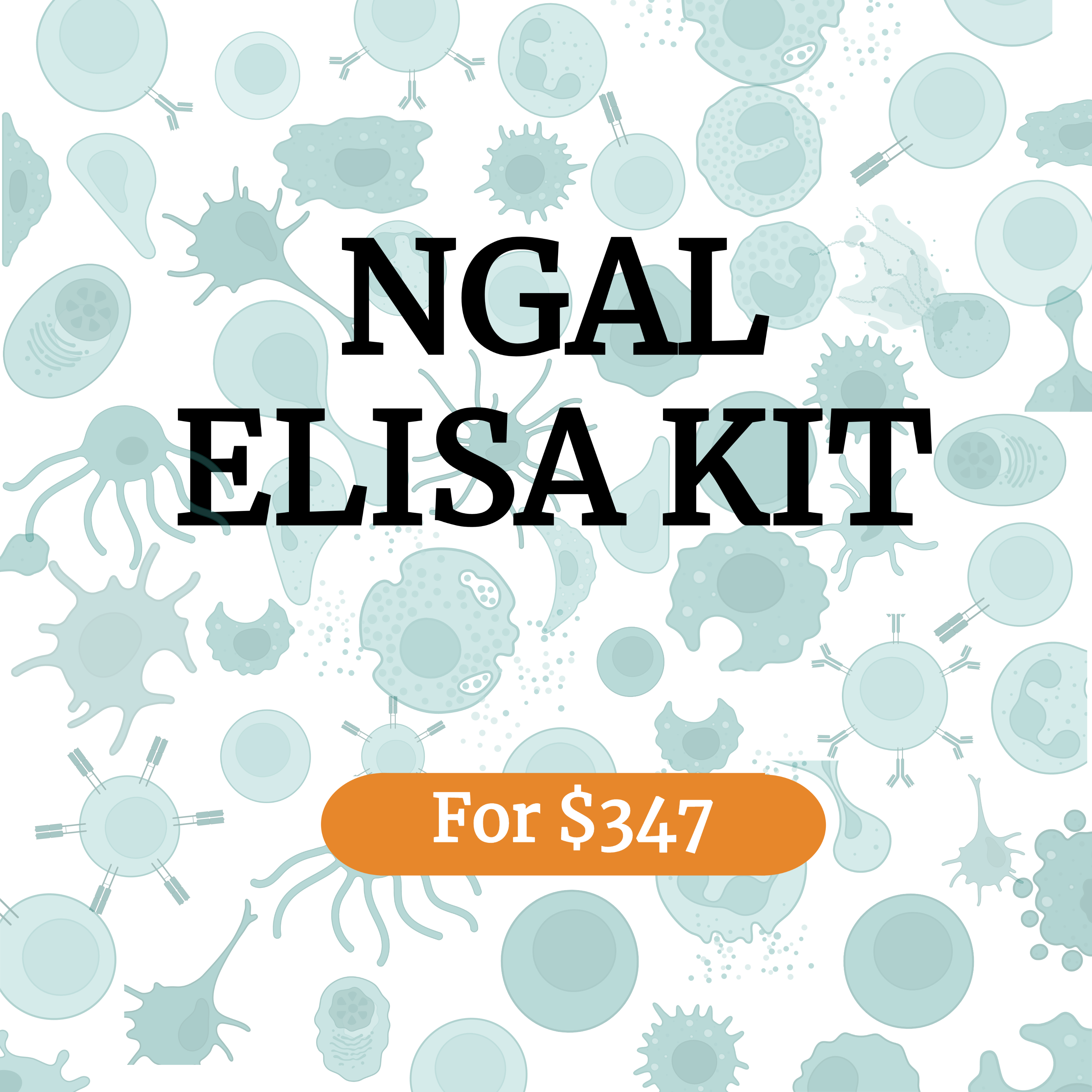 NGAL ELISA Kit