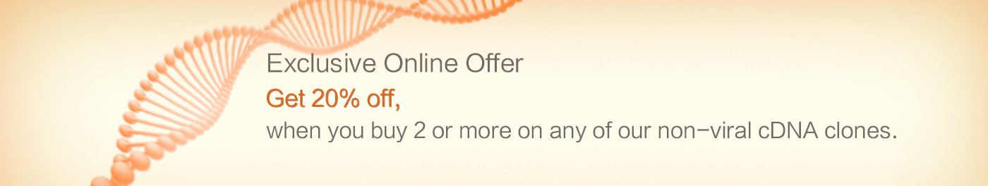 cDNA Clones Online Exclusive Offer