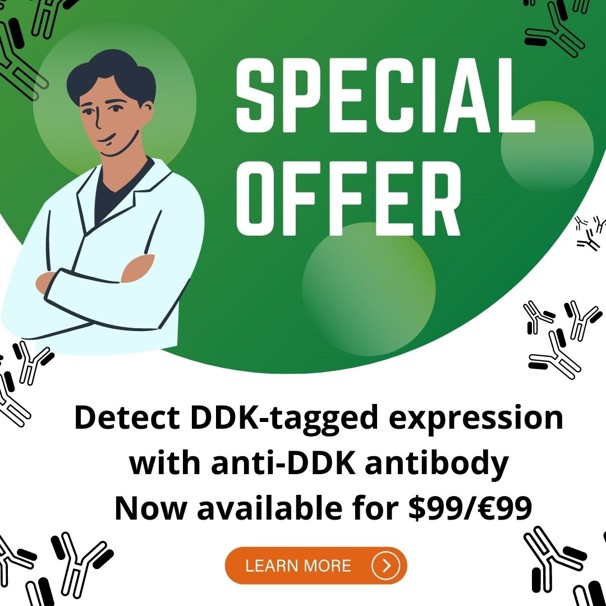 Detect DDK-tagged clones with anti-DDK antibody Now available for $99/€99